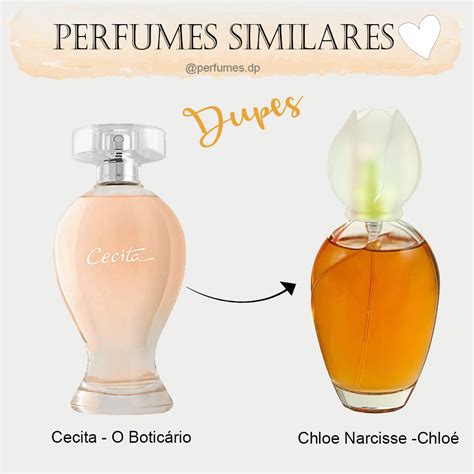 what perfume is similar to chloe narcisse